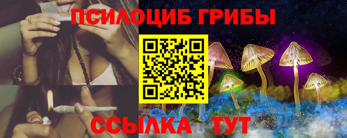 Псилоцибиновые грибы мицелий Томск