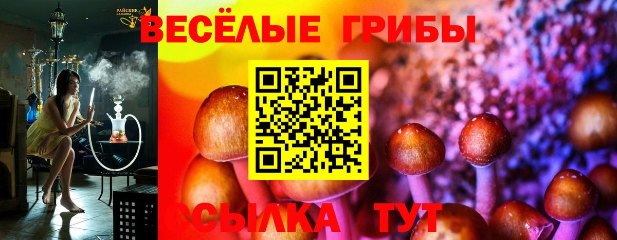 Галлюциногенные грибы мухоморы  Псилоцибиновые грибы GOLDEN TEACHER  где продают наркотики  Вход с VPN  Томск 